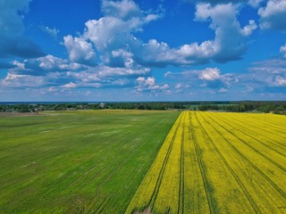 landscape with green field and blue sky in Minsk Region of Belarus
