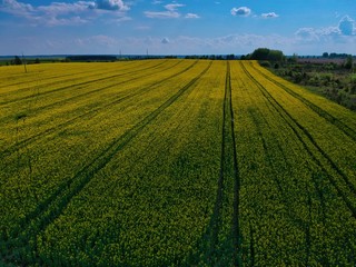 field in spring in Minsk Region of Belarus