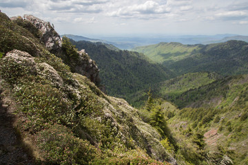 Fototapeta na wymiar Charlie's Bunion - Great Smoky Mountains National Park - Appalachian Hiking Trail
