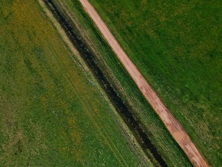 green grass in the garden in Minsk Region of Belarus