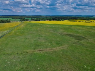 green field and blue sky in Minsk Region of Belarus