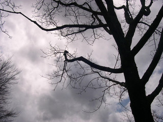 Shadow of a Storm