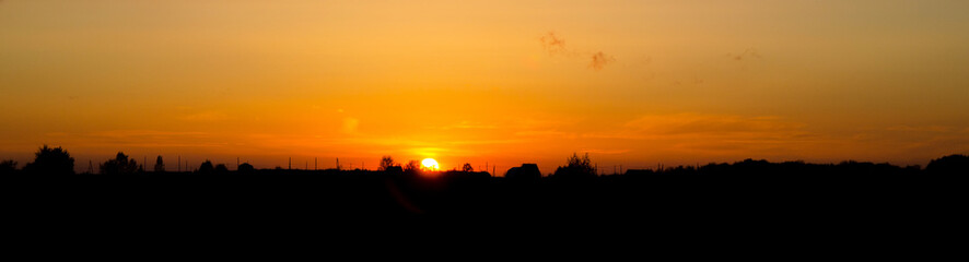 Panorama of Beautiful sunset under the forest