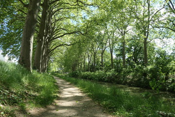 canal du midi
