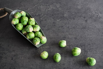 raw Fresh organic Brussels sprouts in metal scoop on grey kitchen dresser. copy space