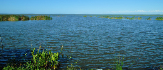 Views from the Nature Drive at Lake Apopka near Orlando, Florida