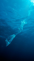 Plastic Waste in Tubbataha. The Tubbataha Reef Marine Park is UNESCO World Heritage Site in the middle of Sulu Sea, Philippines.