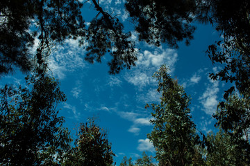 cielo semi despejado