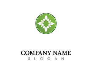 Tree leaf vector logo design, eco-friendly concept.