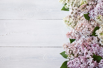 Pink lilac on a white wooden background