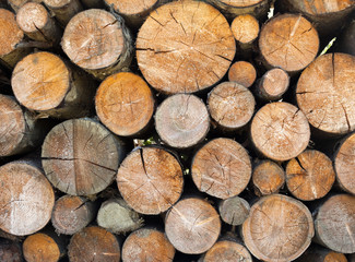 Stack of firewood. Wood logs.