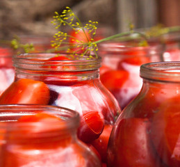 Pickling (canning) the tomatoes.