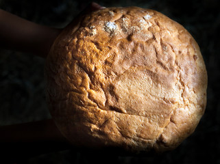 Fresh round bread.
