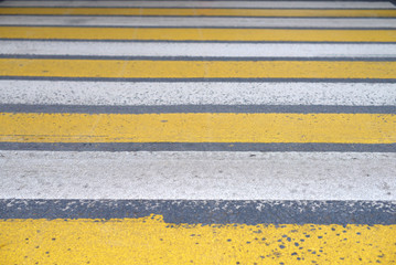 yellow and white Zebra crossing