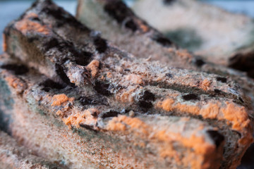 Mouldy (moldy) bread. Close-up.