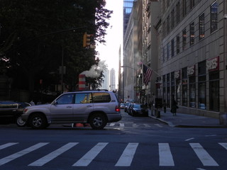  traffic signal and car on street of the city