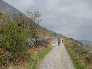 Couple taking their dogs for a walk in a mountains.