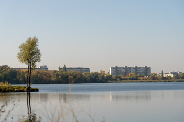 Fototapeta premium display of houses in the water. autumn sunset. lake in the park. single tree in the foreground