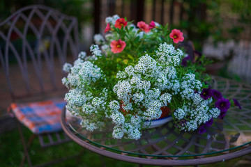Jardin con flores. Chill out.