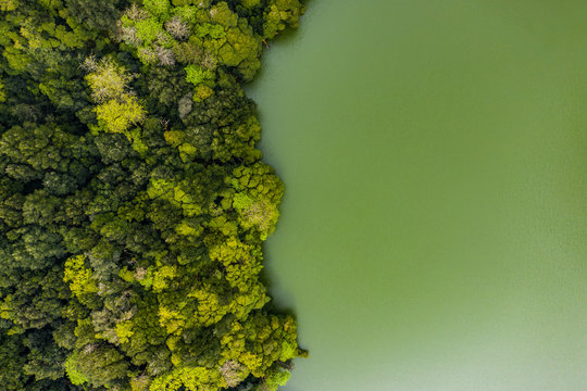 azores sao miguel lagoa do congro aerial drone lake lagoon green nature jungle