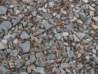 gray gravel with brown dry leaves background