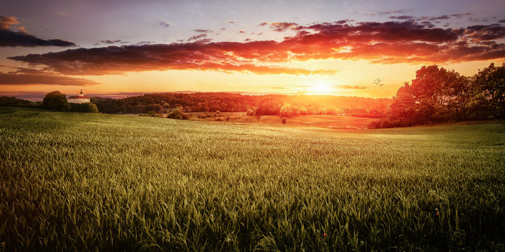 cozy valley with a field of gold grey and corn in the warm light of the sundown in the golden hour 