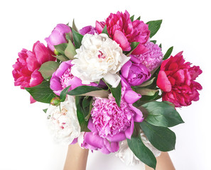 Bouquet of pink and white peony flowers in woman's hand isolated on white background. Top view. Flat lay.