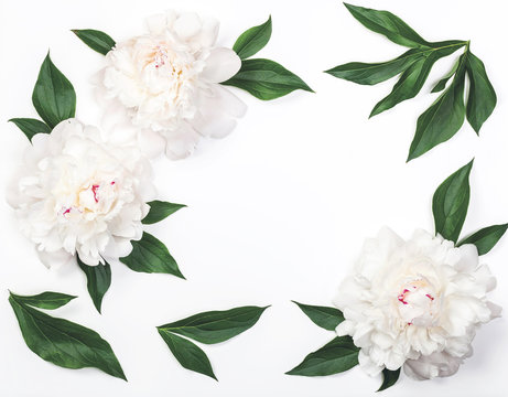 Frame of white peony flowers and leaves isolated on white background. Top view. Flat lay.