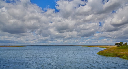 Views along the coast of a saltwater wetland marsh