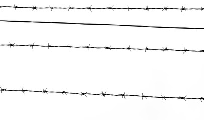 Isolated barbed wire silhouette on a white background. Wallpaper with space for text