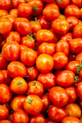 Tomatoes with a backdrop of tomatoes
