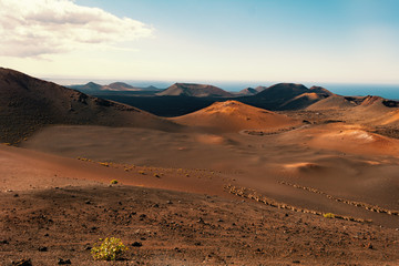 Plakat Desert