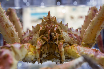 Fish food in a store in Brussels 