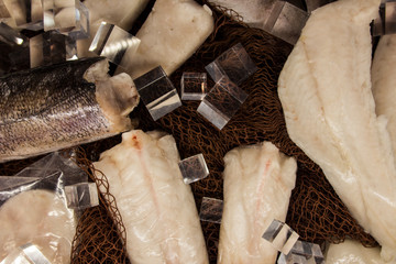 Fish food in a store in Brussels 