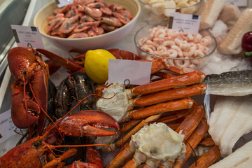 Fish food in a store in Brussels 