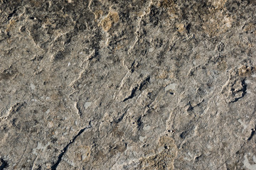 Rough, textured rock surface.