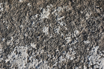 Rough, textured rock surface.