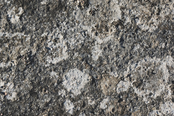 Rough, textured rock surface.