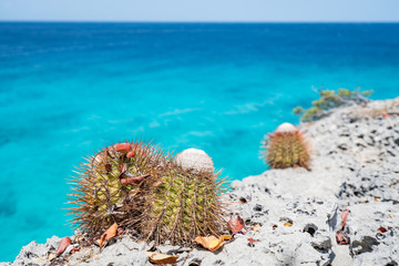 Naklejka na ściany i meble Views around the Caribbean Island of Curacao