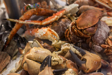 Fish food in a store in Brussels 