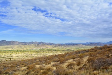 Fototapeta na wymiar Arizona Desert Landscape 
