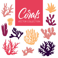 Set of isolated colorful corals and algae on a white background.