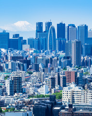 富士山と東京都市風景　縦位置