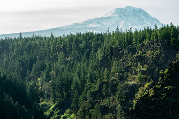 lookout point with view on to the east side of Mt Adams with cliffs and pine trees in foreground