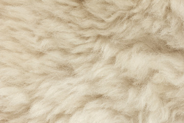 White shaggy natural sheep fur texture for background
