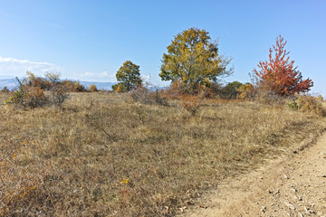 Amazing Autumn landscape of Cherna Gora (Monte Negro) mountain, Pernik Region, Bulgaria