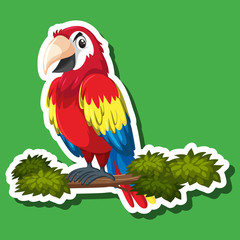 Cute parrot sticker character