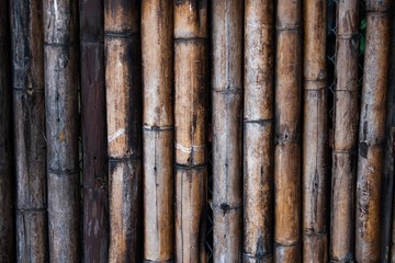 Bamboo wood wall