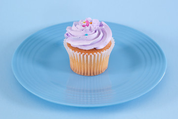 Single cupcake on blue plate.