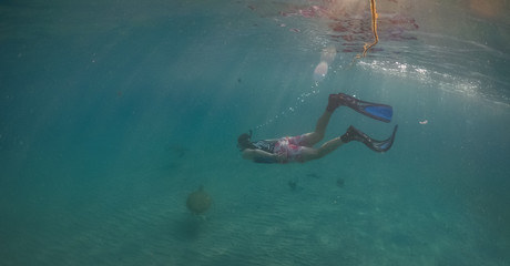 Turtle Views around the Caribbean Island of Curacao